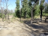 The trail from the picnic area
