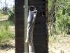 The partially disassembled by fire toilet