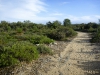 Trail shot