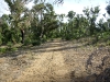 More of the trail