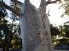 kp1-5.jpg