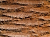 lm-040109-10.jpg