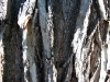 lm-040109-14.jpg