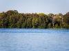 lm-040109-8.jpg