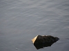 YI7V4037-Edit.jpg